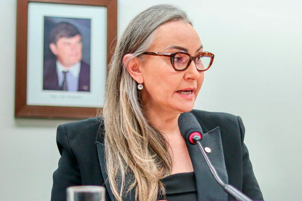 Deputada Federal Daniela Reinehr (PL-SC) - Foto: divulgação/Agência Câmara de Notícias