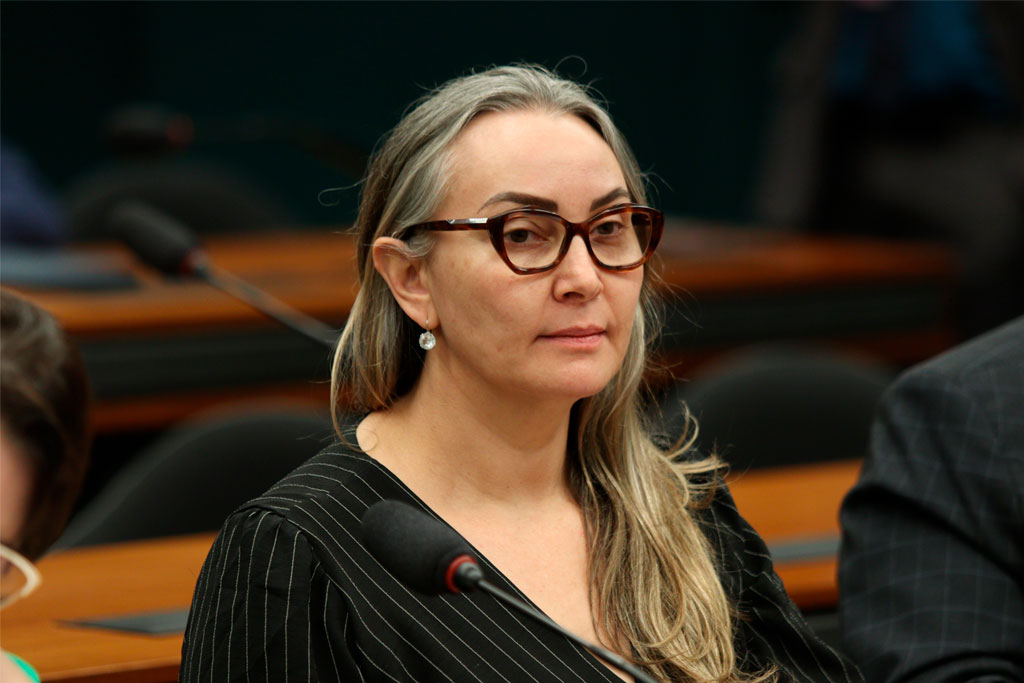 Deputada federal Daniela Reinehr (PL-SC) - Foto: divulgação/Agência Câmara de Notícias