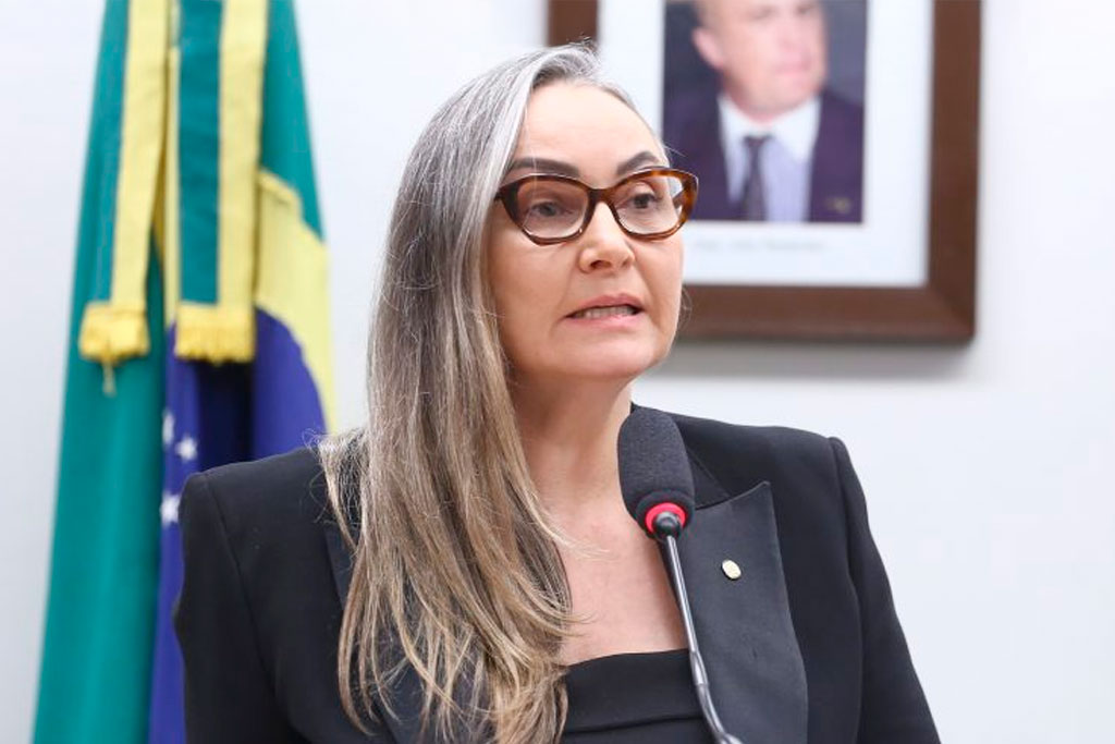 Autora do projeto, deputada Daniela Reinehr (PL-SC) – Foto: Vinicius Loures / Câmara dos Deputados