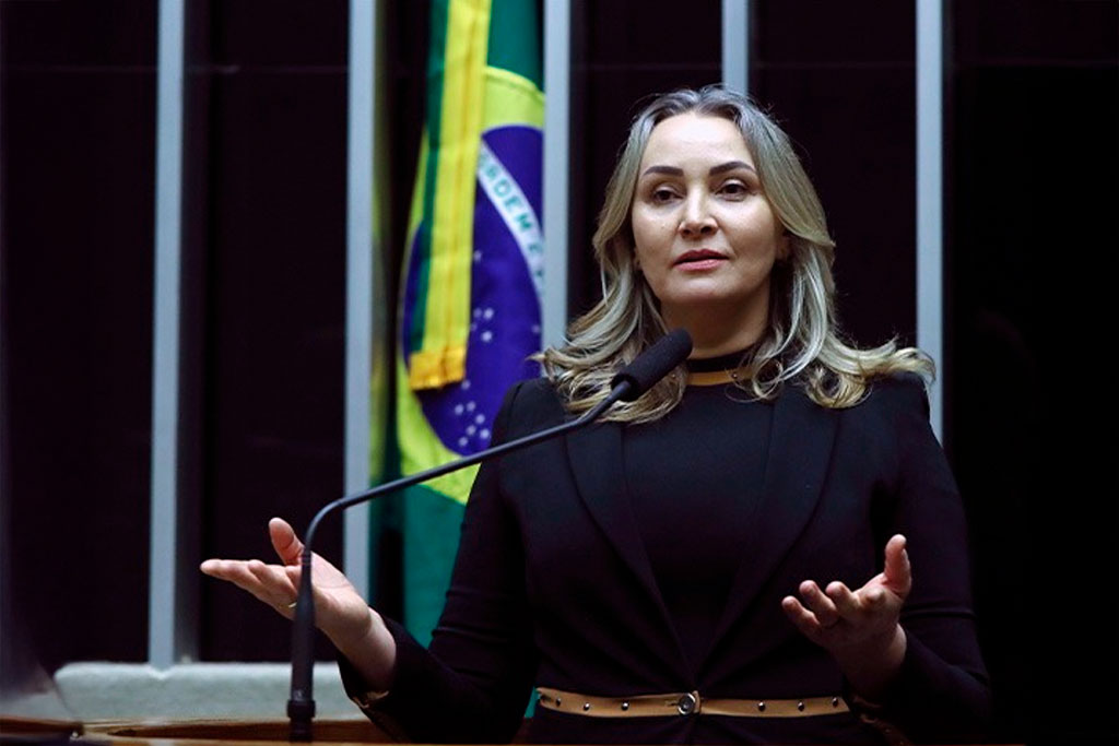 Deputada Federal Daniela Reinehr (PL-SC) - Foto: divulgação/Agência Câmara de Notícias