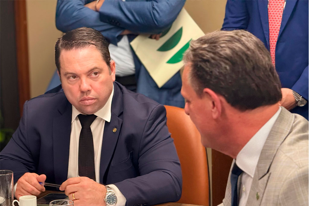 Deputado federal Rodolfo Nogueira (PL-MS) - Foto: divulgação/Agência Câmara de Notícias