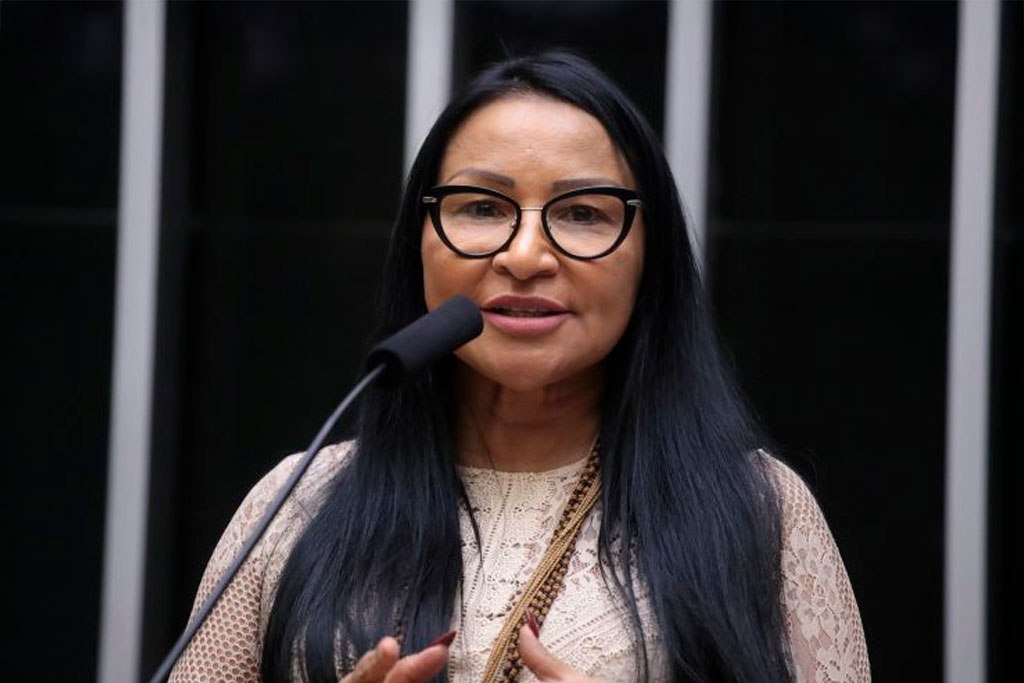 A relatora, deputada Silvia Waiãpi (PL-AP), recomendou a aprovação do texto com modificação – Foto: Bruno Spada/Câmara dos Deputados