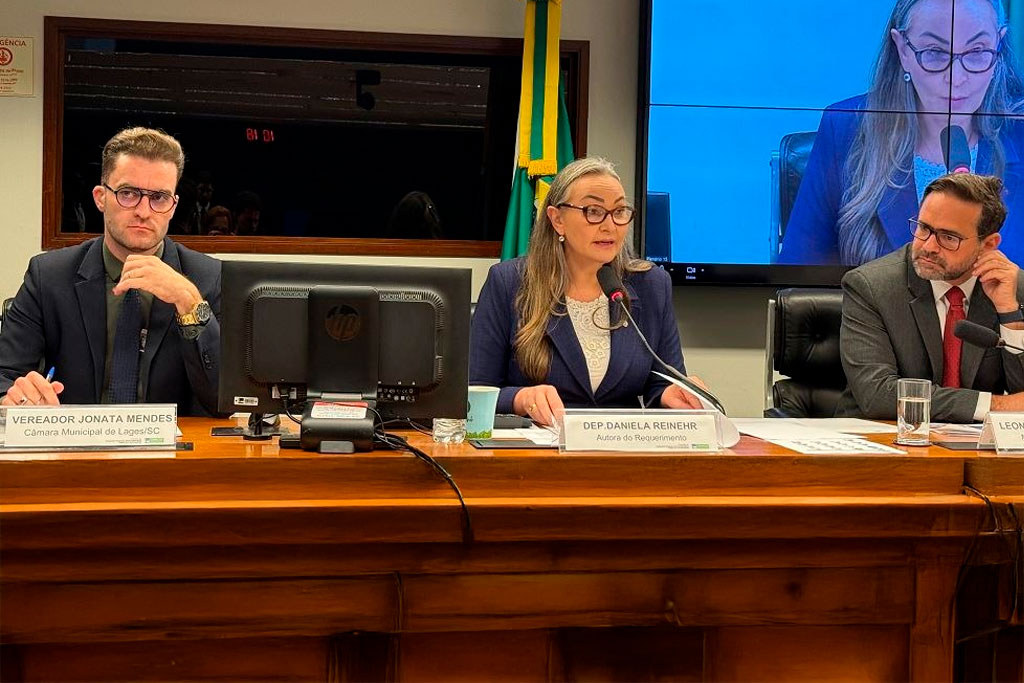 Deputada Reinehr (PL-SC) cobra manutenção da malha ferroviária em Santa Catarina em audiência - Foto: divulgação/Agência Câmara de Notícias