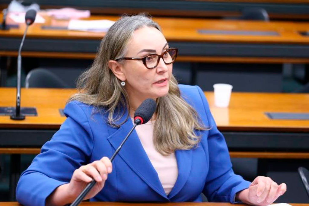 A relatora do projeto: Deputada Federal Daniela Reinehr (PL-SC) - Foto: divulgação/Agência Câmara de Notícias