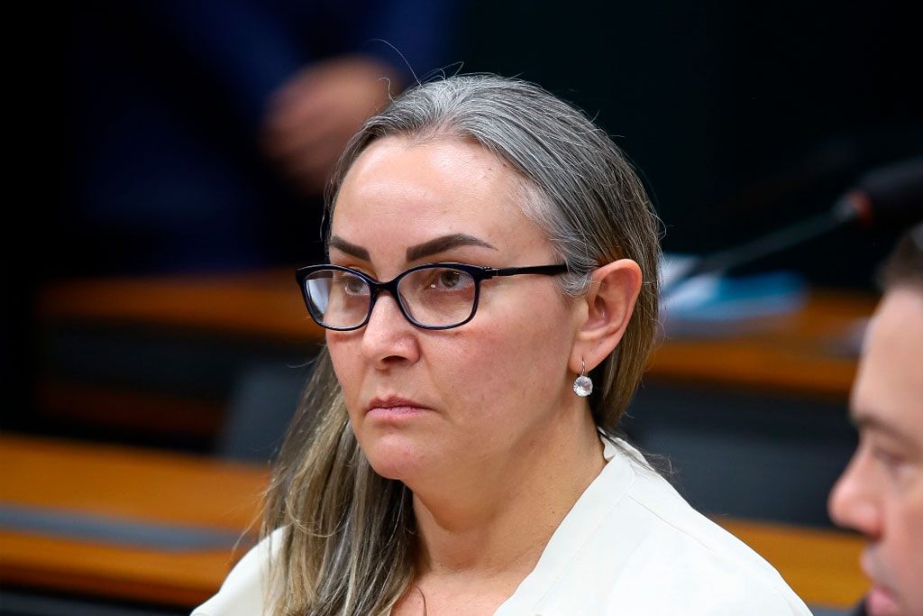 Deputada federal Daniela Reinehr (PL-SC) - Foto: divulgação/Agência Câmara de Notícias