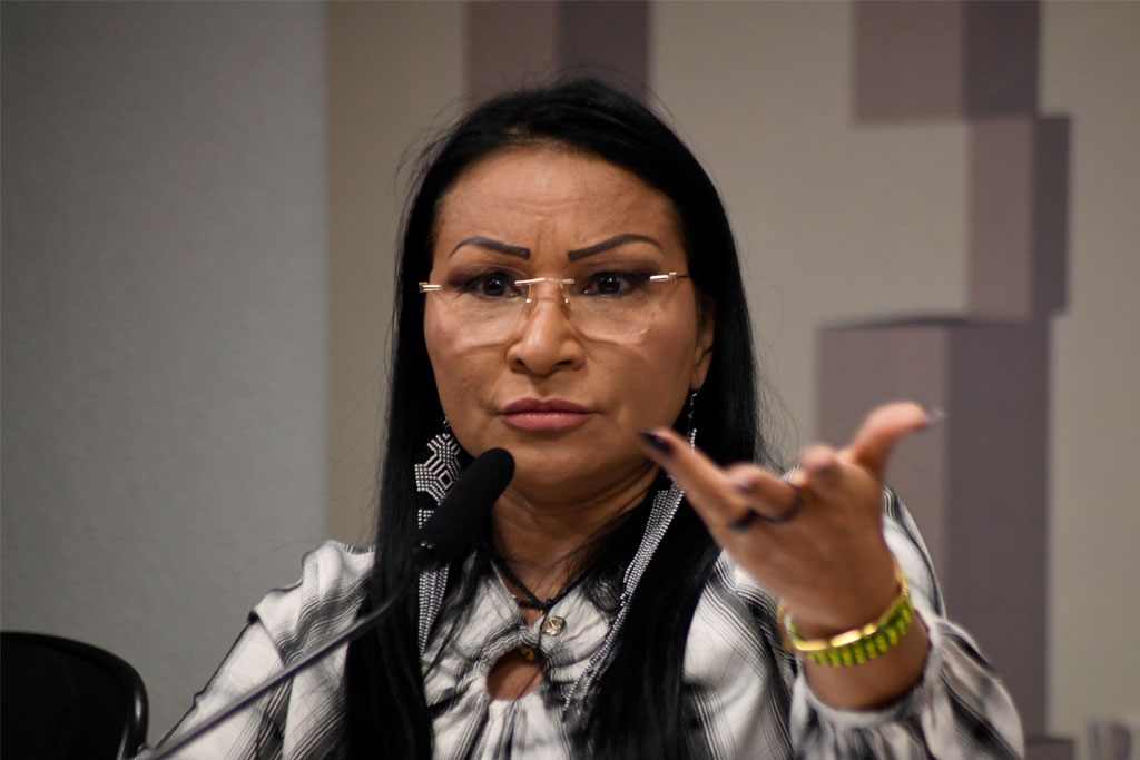 Deputada Federal Silvia Waiãpi (PL-AP) - Foto: Andre Violatti