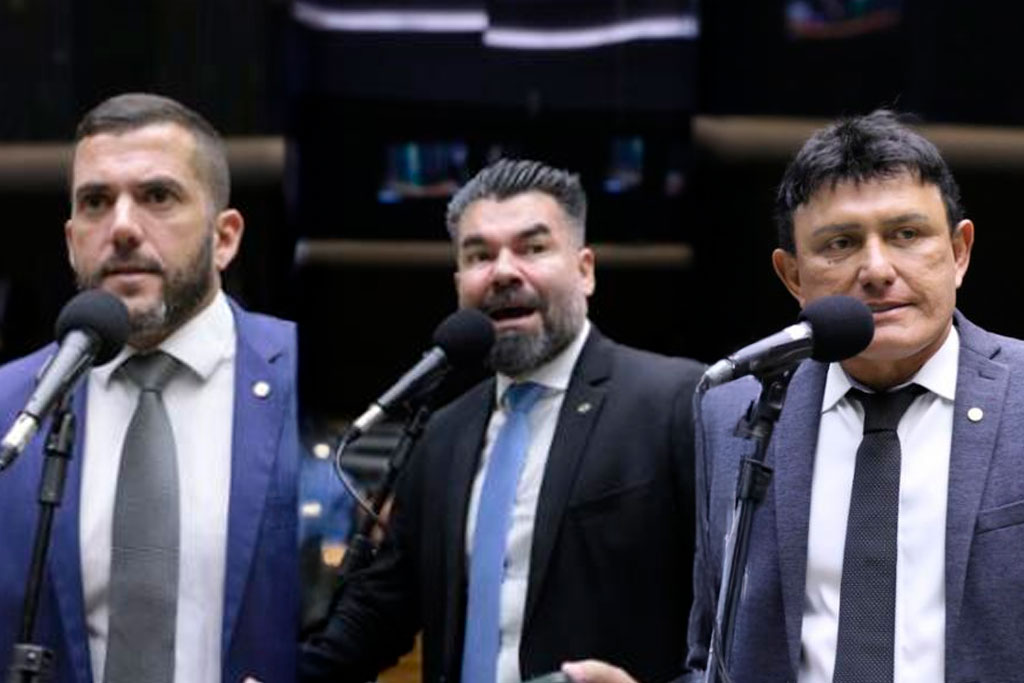 Deputados federais Carlos Jordy (PL-RJ), Delegado Caveira (PL-PA), Delegado Éder Mauro (PL-PA) - Foto: divulgação/Agência Câmara de Notícias