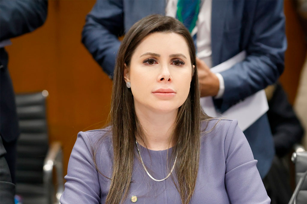 Deputada Carol De Toni (PL-SC) - Foto: divulgação/Agência Câmara de Notícias