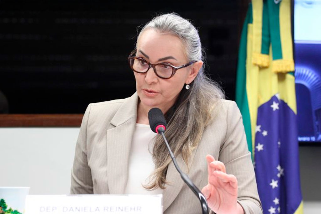 Deputada Daniela Reinehr (PL-SC): é preciso criar oportunidades para jovens permanecerem no campo – Foto: Vinicius Loures/Câmara dos Deputados