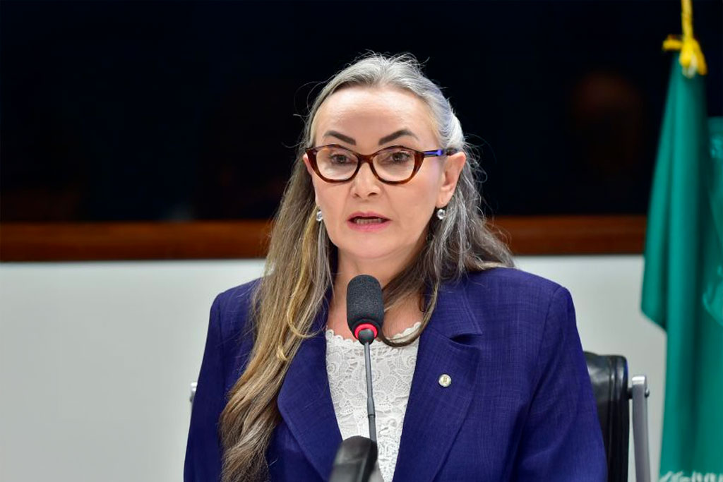 A relatora, deputada Daniela Reinehr (PL-SC): medida visa a proteger o direito à propriedade privada – Foto: Zeca Ribeiro / Câmara dos Deputados