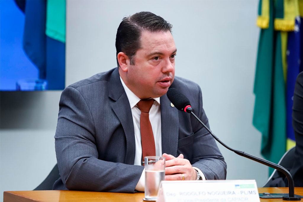 Deputado federal Rodolfo Nogueira (PL-MS) - Foto: divulgação/Agência Câmara de Notícias