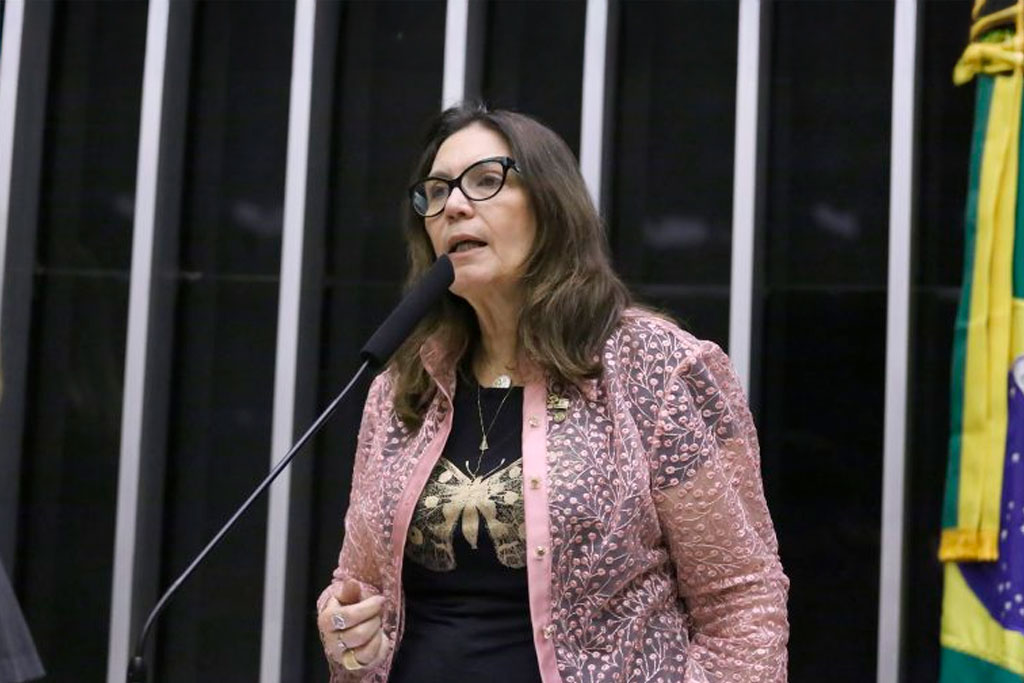 A relatora, deputada Bia Kicis (PL-DF) - Foto: Kayo Magalhães / Câmara dos Deputados