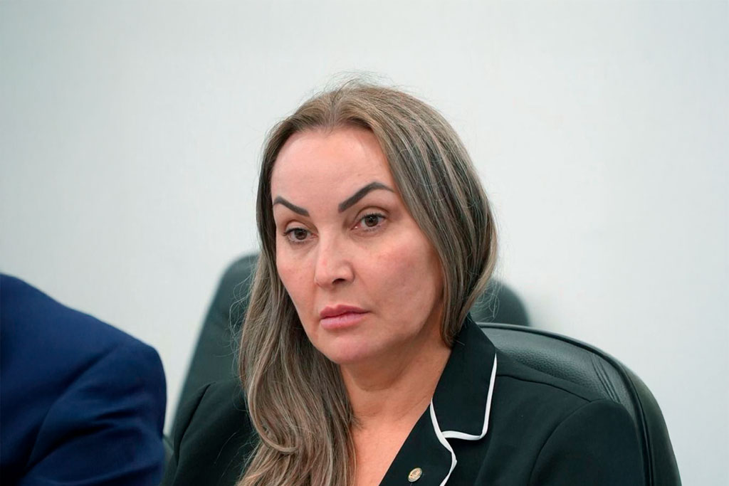 Deputada federal Daniela Reinehr (PL-SC) - Foto: divulgação/Agência Câmara de Notícias