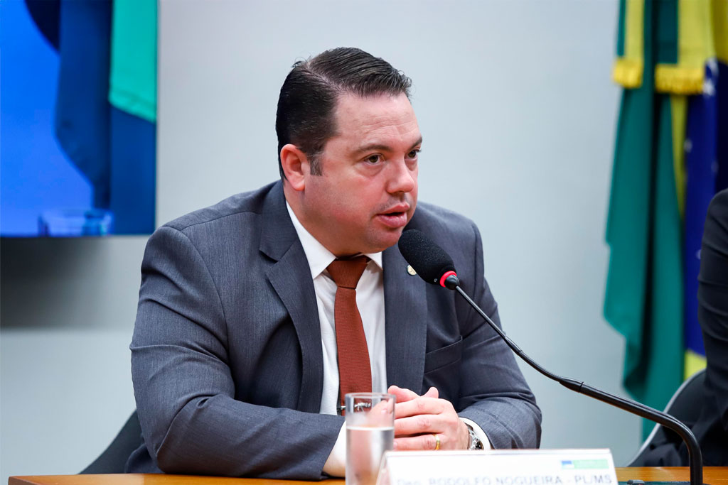 Deputado federal Rodolfo Nogueira (PL-MS) - Foto: divulgação/Agência Câmara de Notícias