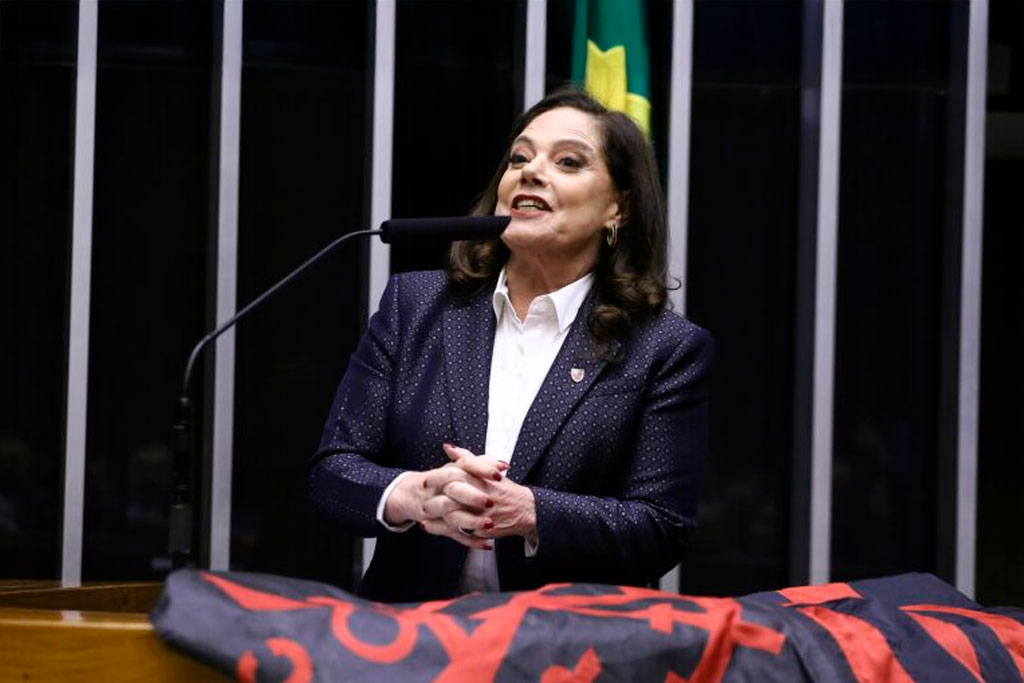 Deputada Soraya Santos (PL-RJ), autora do projeto de lei que deu origem à norma – Foto: Vinicius Loures / Câmara dos Deputados