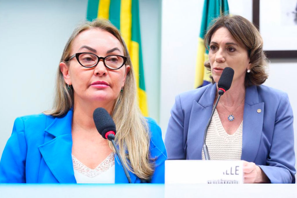 As deputadas Daniela Reinehr (PL-SC) e Rosana Valle (PL-SP) solicitam audiência pública para discutir os impactos do PL 733/25 sobre dragagem, praticagem e atividades agroexportadoras - Foto: divulgação/Agência Câmara de Notícias
