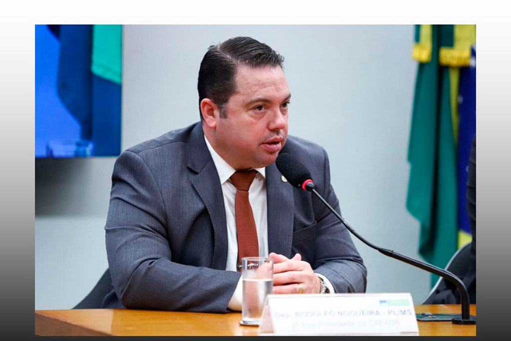Deputado federal Rodolfo Nogueira (PL-MS) - Foto: divulgação/Agência Câmara de Notícias