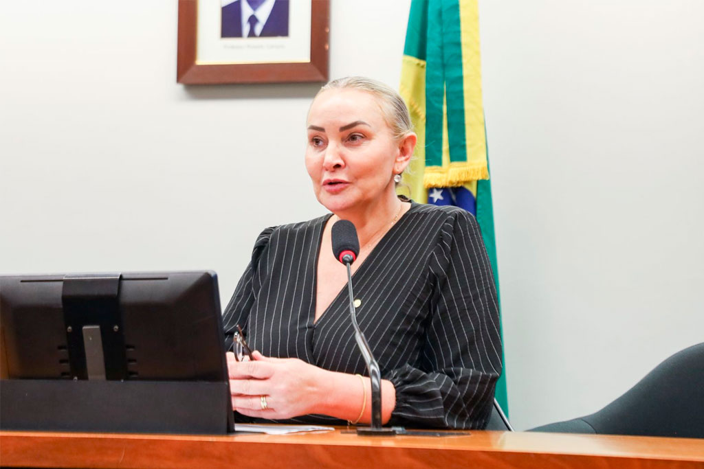 Daniela Reinehr (PL-SC) garante a São Martinho o título de Capital Nacional da Bolacha Decorada - Foto: divulgação/Agência Câmara de Notícias