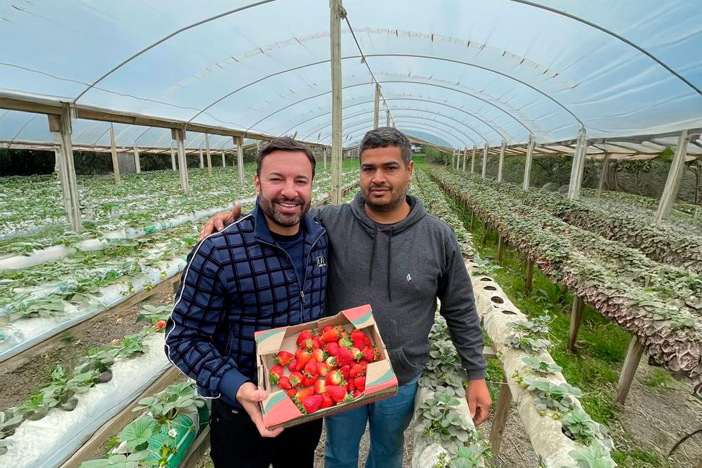 Deputado federal Daniel Freitas (PL-SC) - Foto: divulgação/Assessoria de Imprensa do Deputado