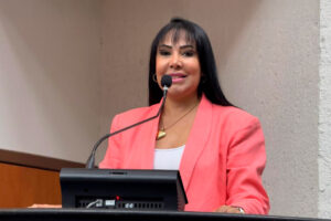 Janad Valcari (PL-TO) articula junto ao Governo instalação de barreira eletrônica na TO-050 – Foto: Divulgação/Ascom Janad Valcari