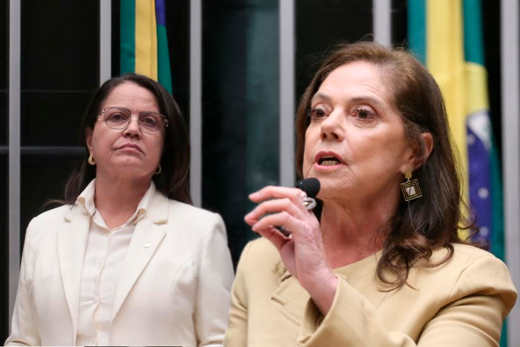Aprovado com parecer favorável da relatora, deputada Rosângela Reis (PL-MG), e lido em Plenário pela deputada Soraya Santos (PL-RJ) - Foto: divulgação/Agência Câmara de Notícias