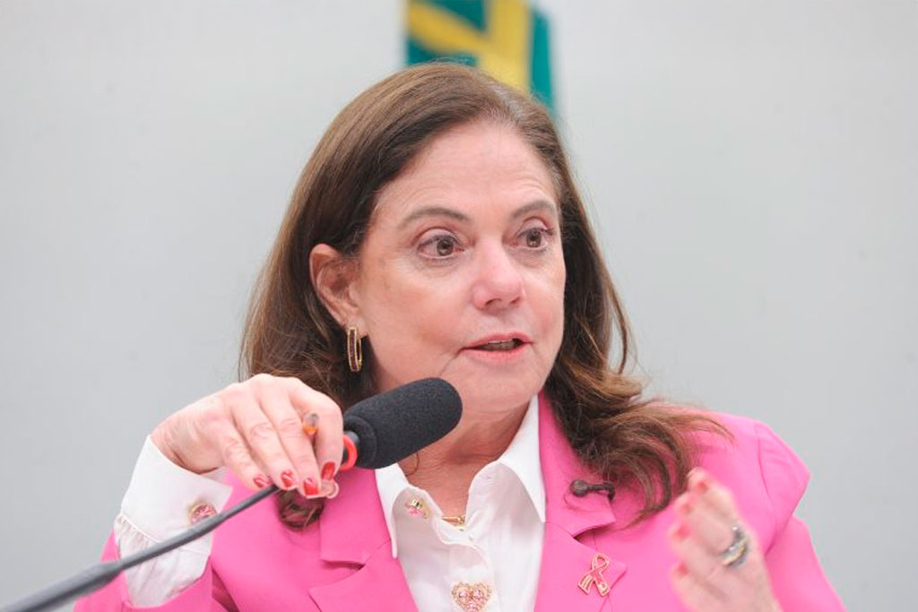 Deputada Soraya Santos (PL-RJ): "A gente tem que melhorar esse fluxo" - Foto: Renato Araújo/Câmara dos Deputados