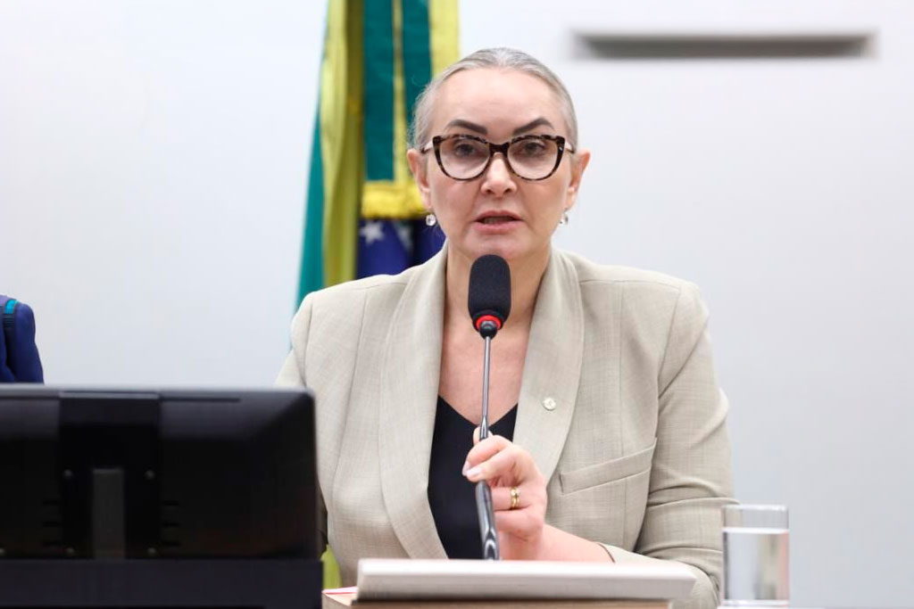 Deputada federal Daniela Reinehr (PL-SC), presidente da Comissão de Turismo da Câmara dos Deputados - Foto: divulgação/Agência Câmara de Notícias