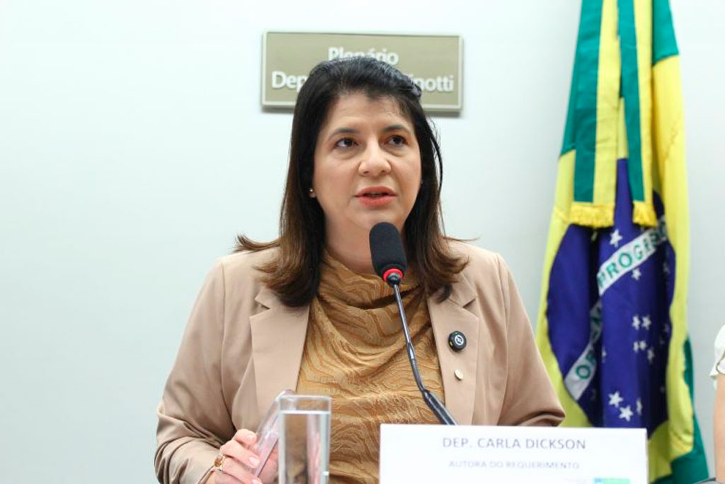 Deputada Carla Dickson (PL-RN), relatora do projeto de lei – Foto: Vinicius Loures / Câmara dos Deputados
