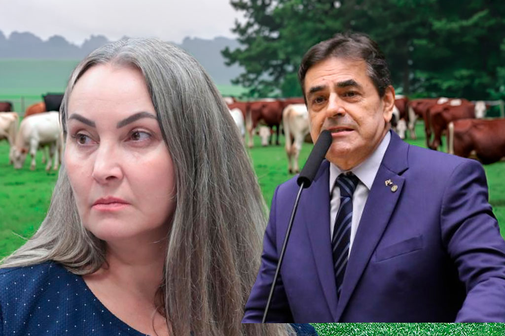 A proposta, da deputada Daniela Reinehr (PL-SC), recebeu parecer favorável do relator, deputado Domingos Sávio (PL-MG) – Foto: divulgação/Agência Câmara de Notícias